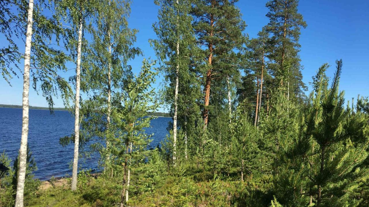 Lomamoekit Saimaanranta Suur-Saimaa Strand Resort Taipalsaari エクステリア 写真